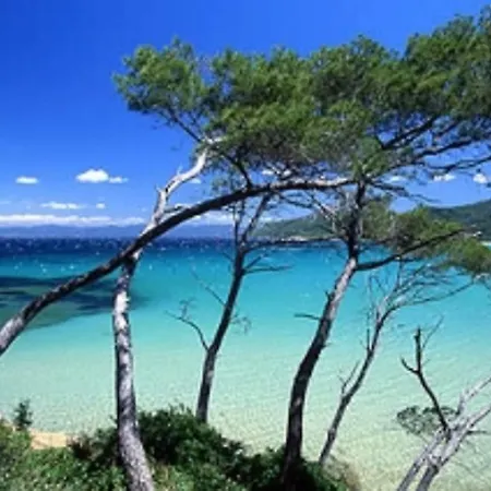 Apartment Sur Les Iles D'or La Londe-les-Maures
